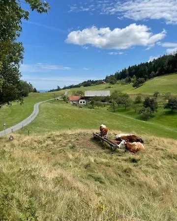 Eko Kmetija Sen Na Zgornji Kapli Фермерский дом Zgornja Kapla