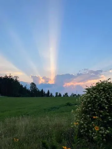 Eko Kmetija Sen Na Zgornji Kapli Alloggio per agriturismo *