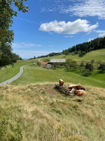 Eko Kmetija Sen Na Zgornji Kapli Фермерский дом Zgornja Kapla